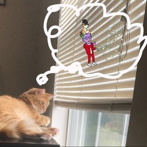 *Read* Do you like great deals?! 🦁🤑